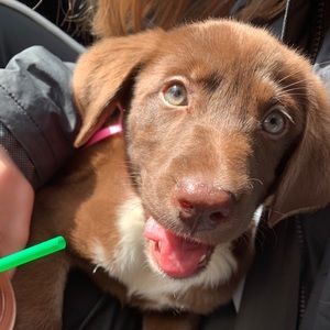 Meet your Posher, Bethany